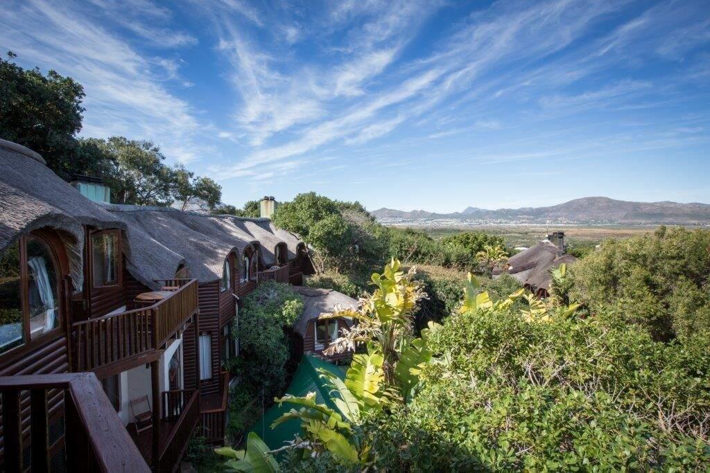 Monkey Valley Resort Noordhoek Kültér fotó